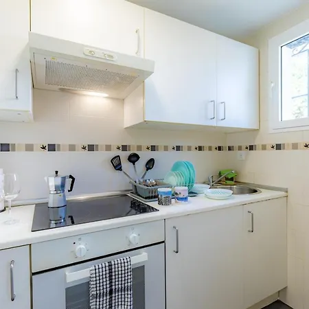 Margaritas * Sitio de Calahonda