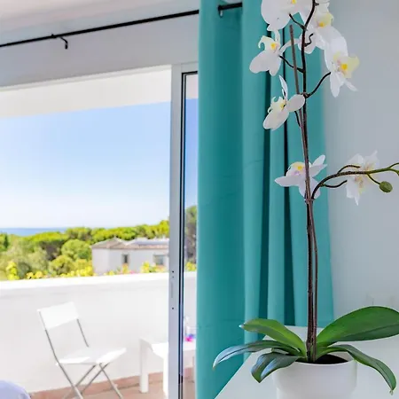 Margaritas 度假居